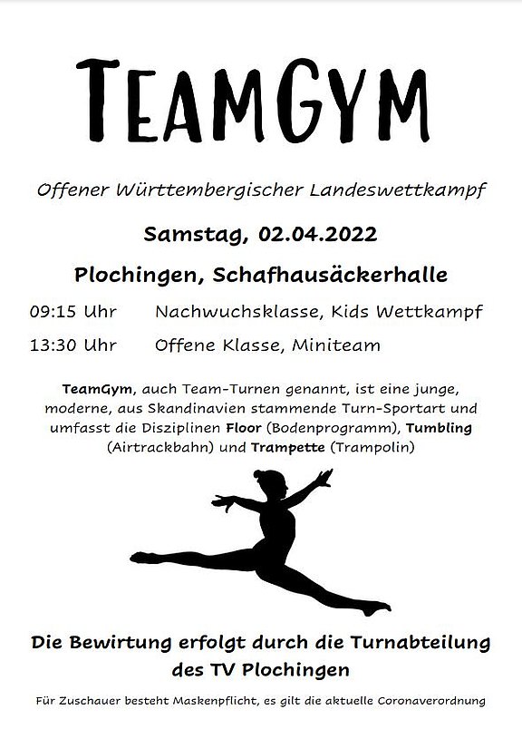 teamgym_plakat.jpg 